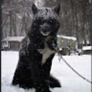 Meet your Posher, Hayden